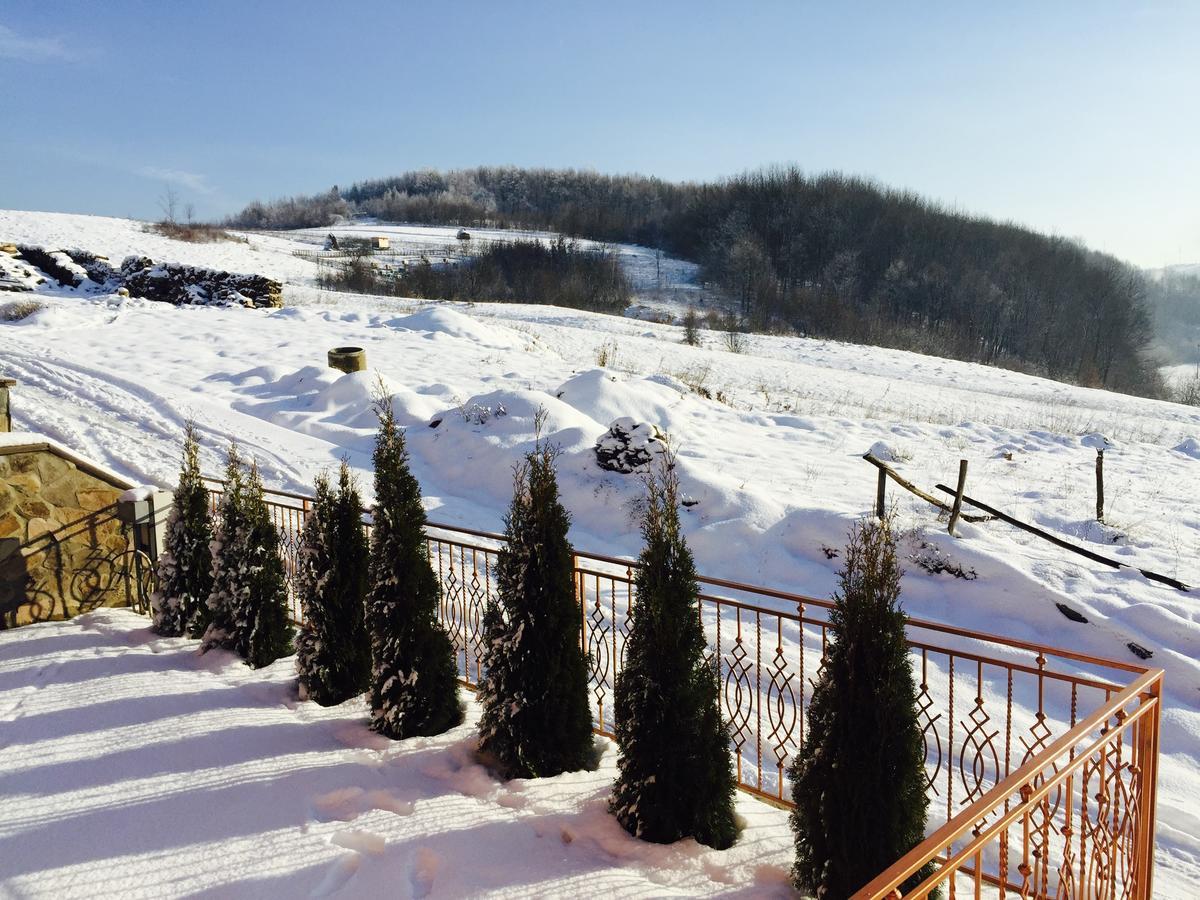 Mini hotel Solnce Karpat Poljana Exteriér fotografie