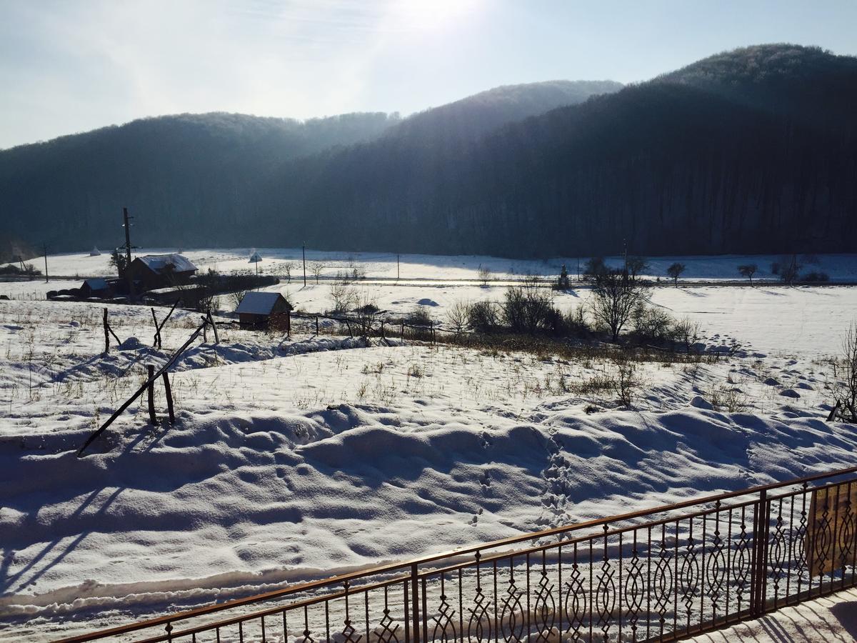 Mini hotel Solnce Karpat Poljana Exteriér fotografie