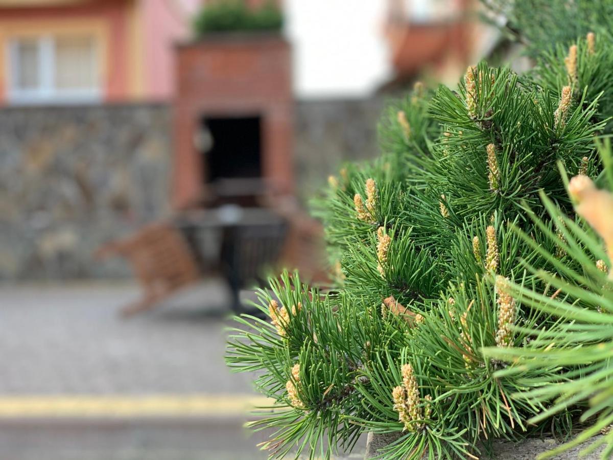 Mini hotel Solnce Karpat Poljana Exteriér fotografie